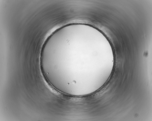 X0000093381237200711011243