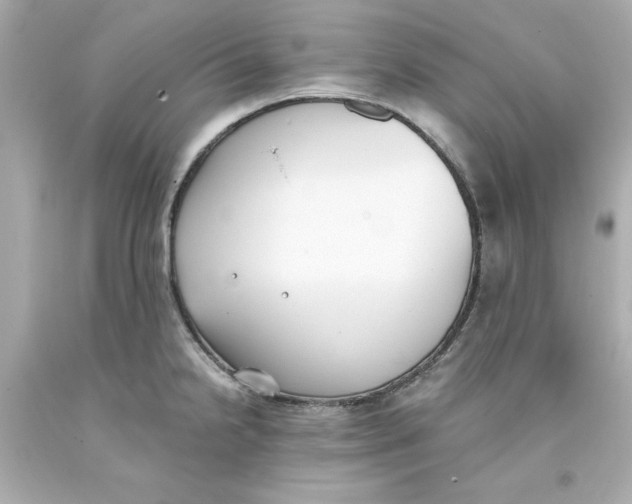 X0000093381238200711011243