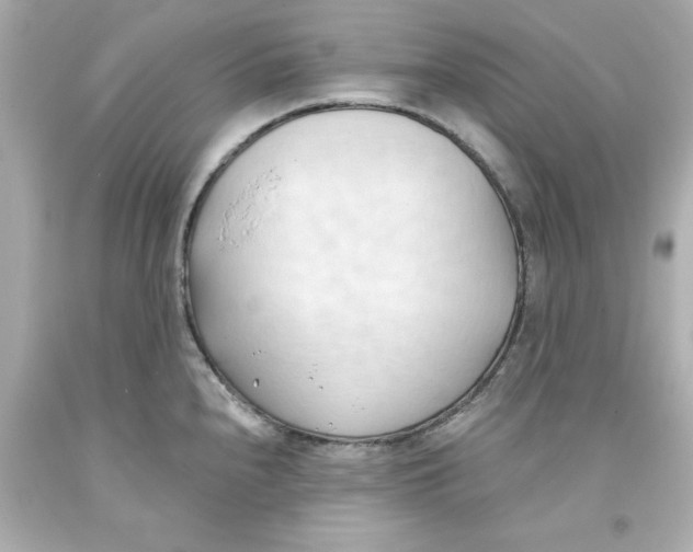 X0000093381240200711011243