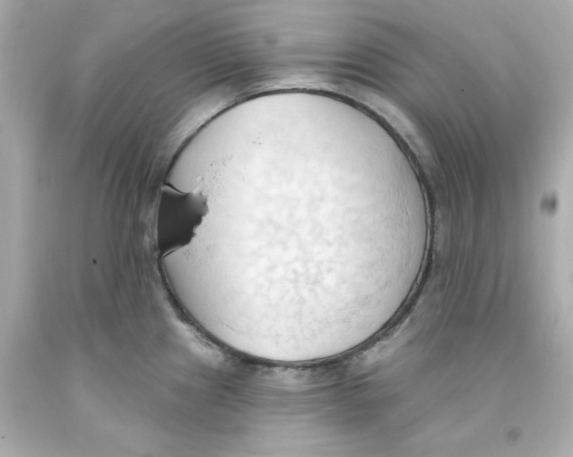 X0000093381241200711011243