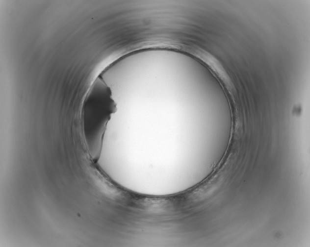 X0000093381242200711011243