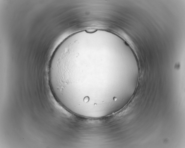 X0000093381243200711011243