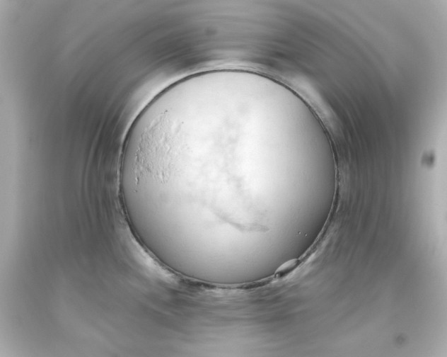 X0000093381244200711011243