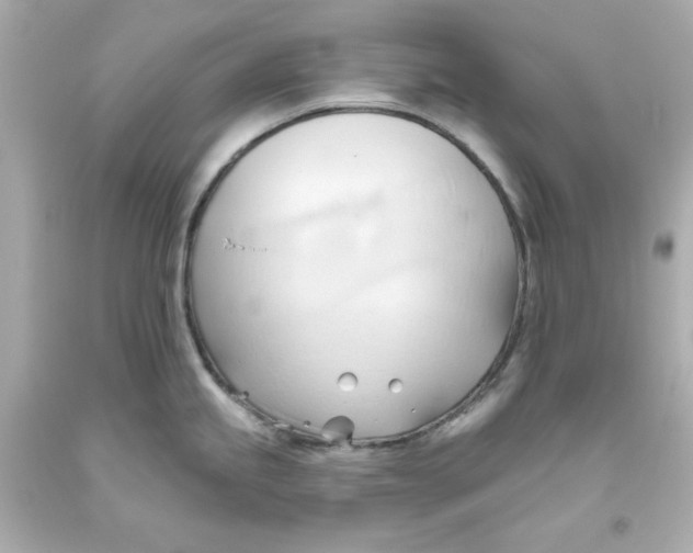 X0000093381245200711011243