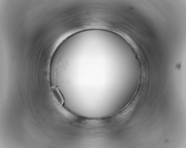 X0000093381246200711011243