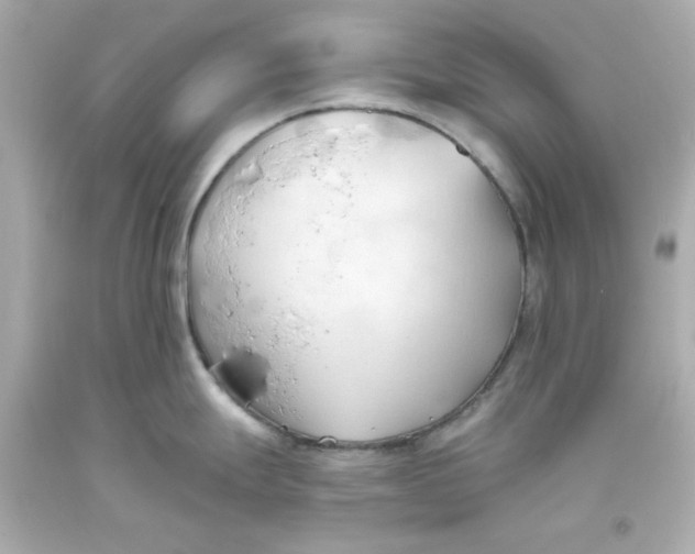 X0000093381247200711011243