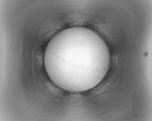 X0000093381250200711011242