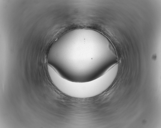 X0000093381251200711011242