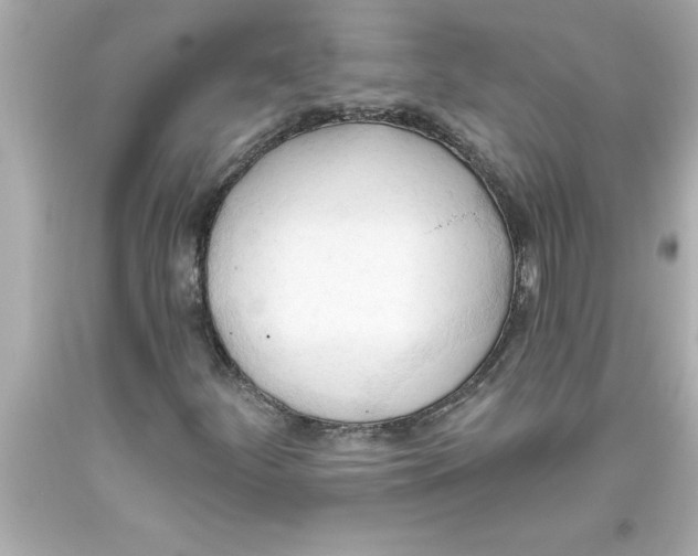 X0000093381252200711011242