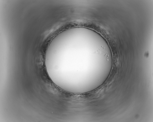 X0000093381253200711011242