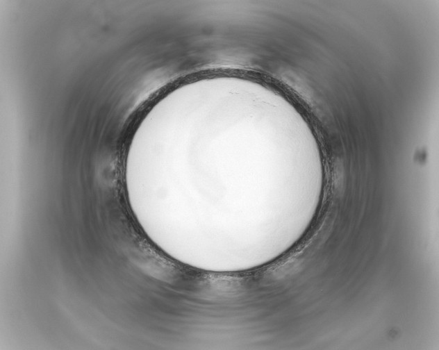 X0000093381258200711011242