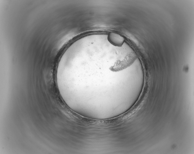 X0000093381259200711011242