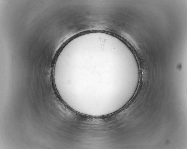 X0000093381260200711011242