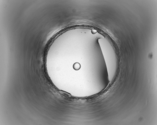 X0000093381261200711011242