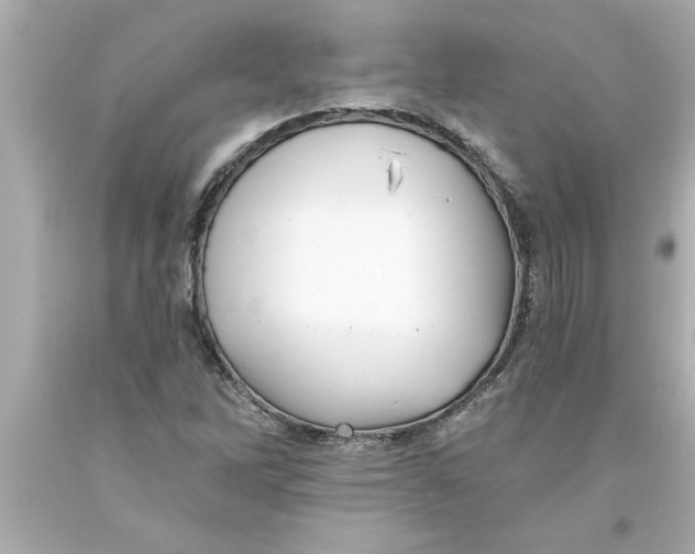 X0000093381262200711011242