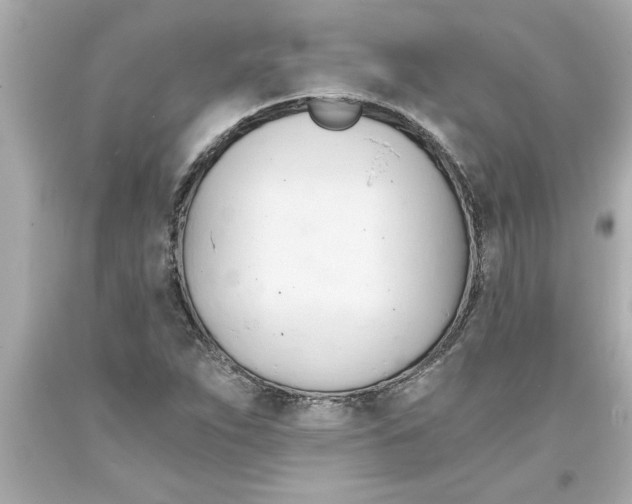 X0000093381263200711011242