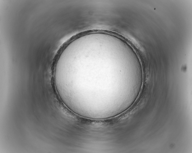 X0000093381264200711011242