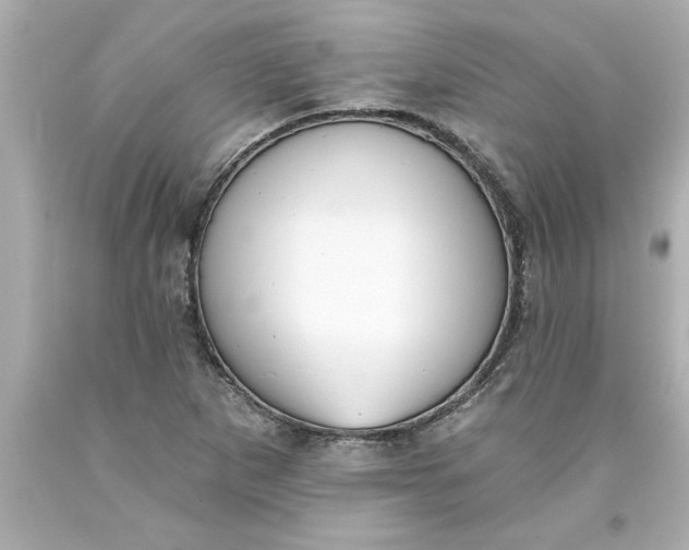 X0000093381265200711011242