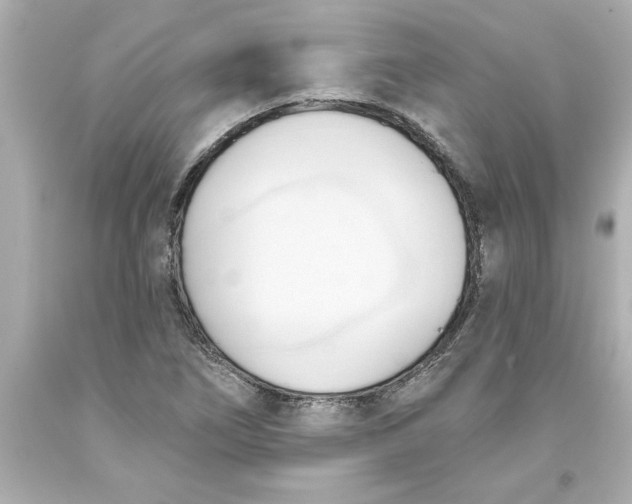 X0000093381266200711011242