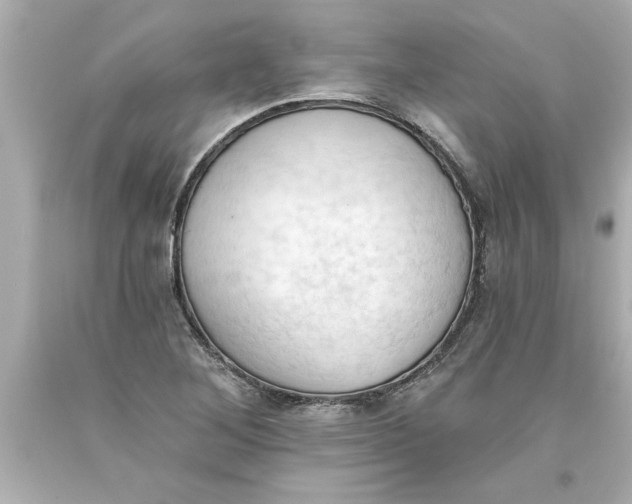 X0000093381268200711011242