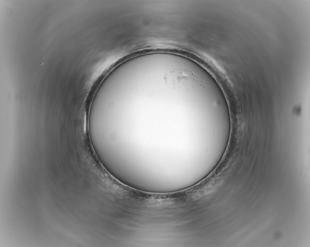 X0000093381269200711011242