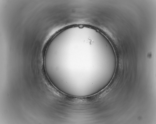 X0000093381270200711011242