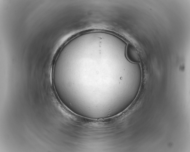 X0000093381272200711011242