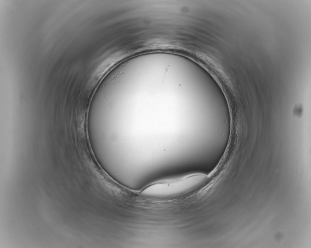 X0000093381273200711011242