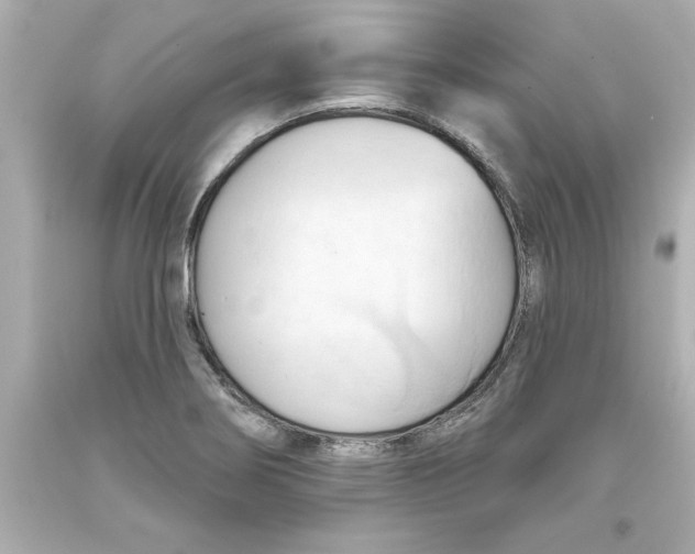 X0000093381274200711011242