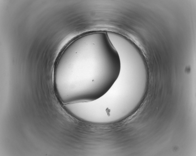 X0000093381275200711011242