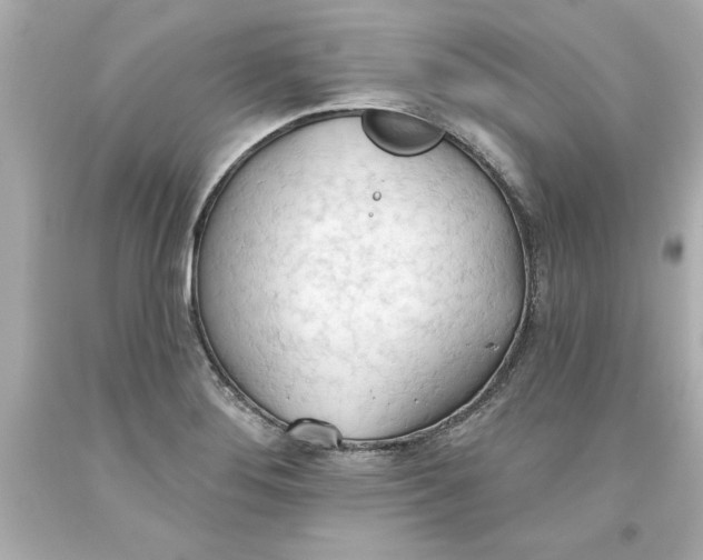 X0000093381276200711011242