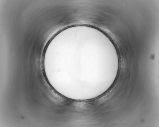 X0000093381278200711011242