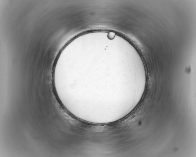 X0000093381279200711011242