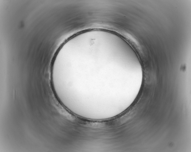 X0000093381280200711011242