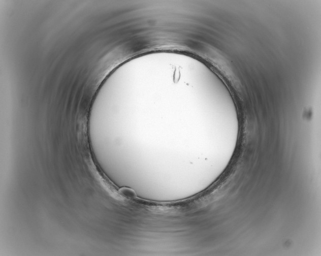 X0000093381281200711011242