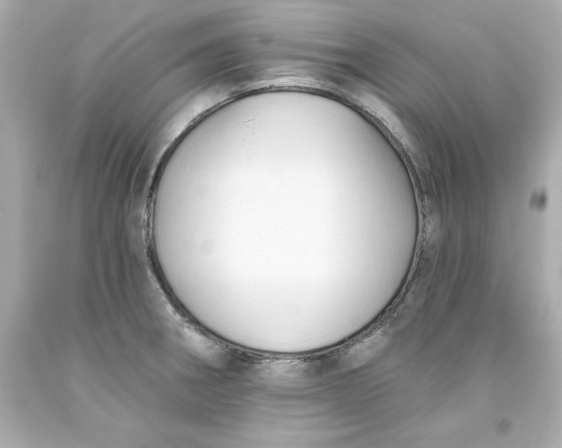 X0000093381282200711011242