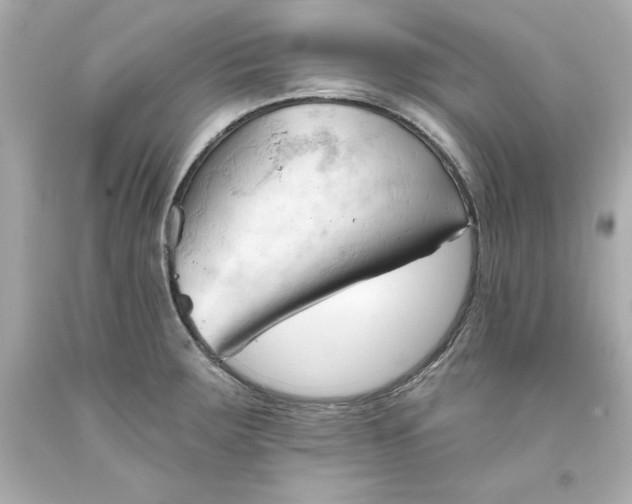 X0000093381283200711011242