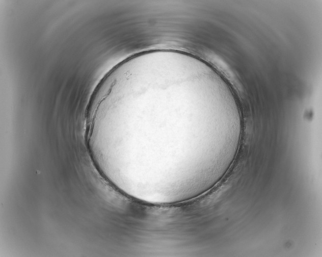 X0000093381284200711011242