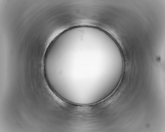 X0000093381285200711011242