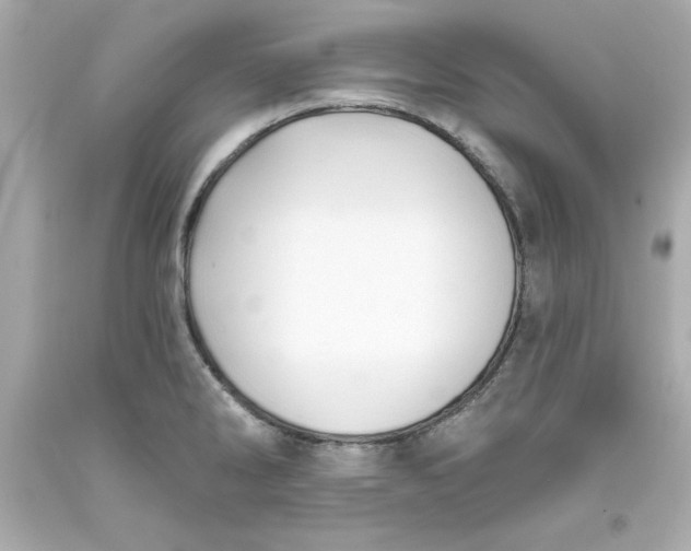 X0000093381286200711011242