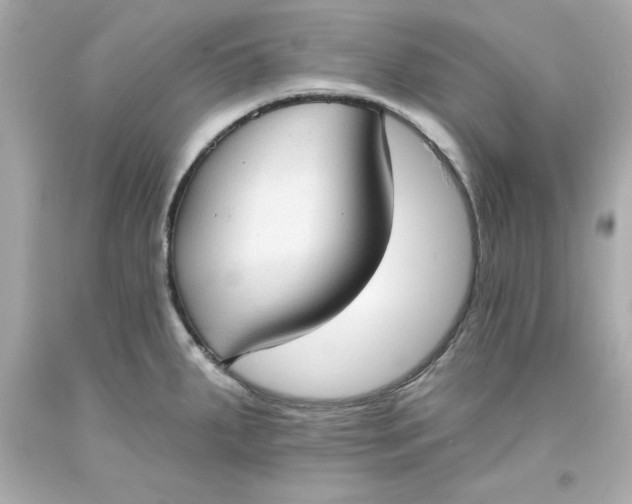 X0000093381287200711011242