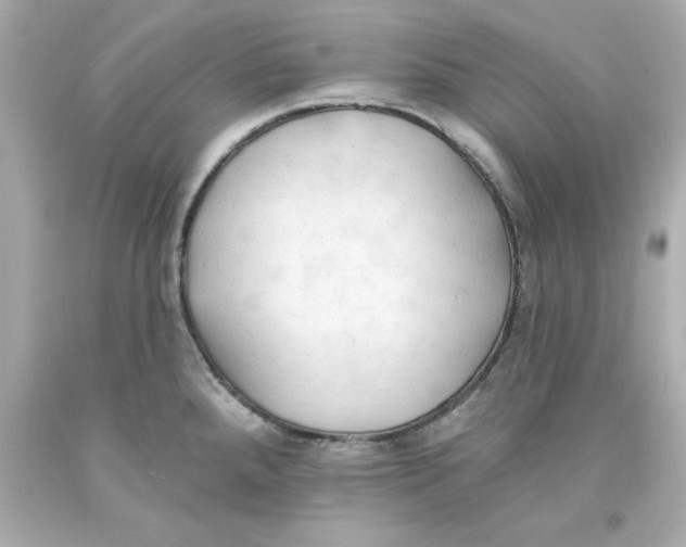 X0000093381288200711011242