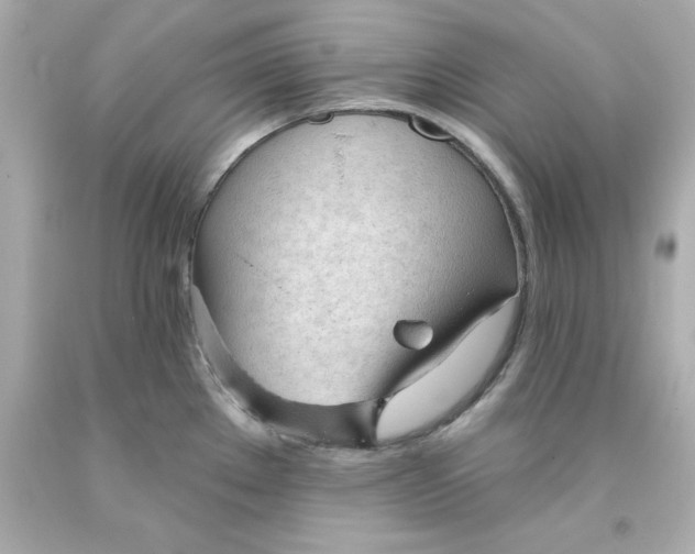 X0000093381289200711011242