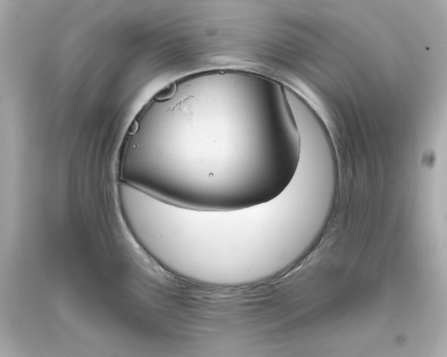 X0000093381291200711011242