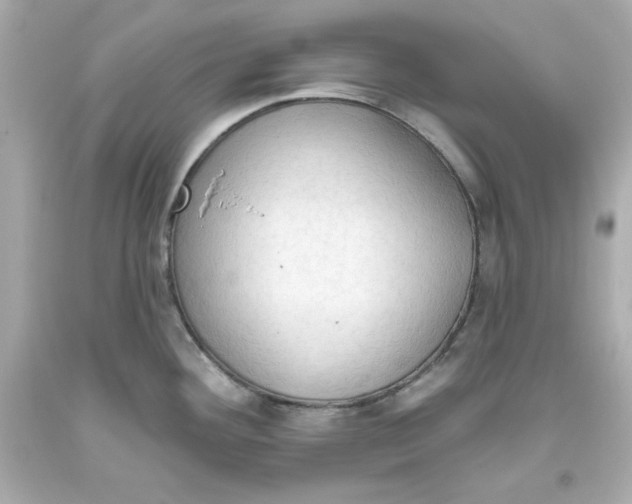 X0000093381292200711011242