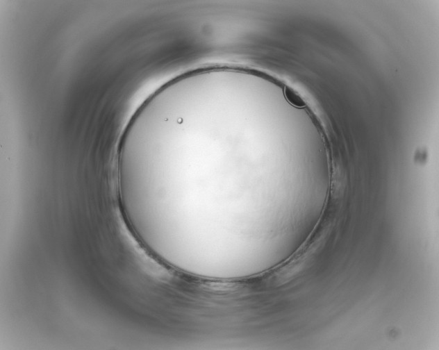 X0000093381295200711011242