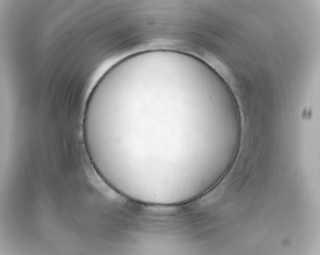 X0000093381296200711011242