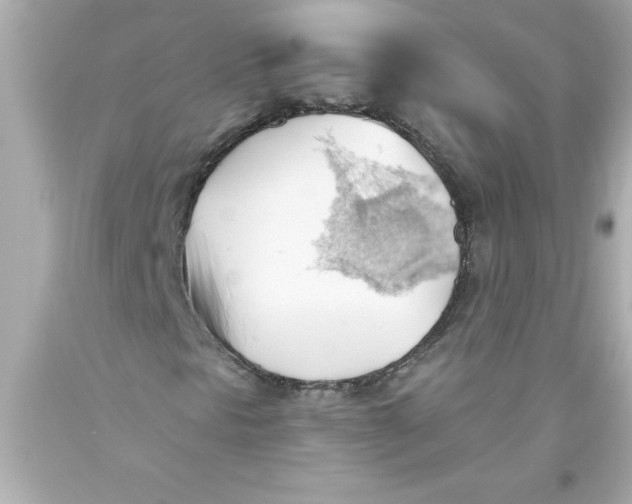 X0000093381297200711011241