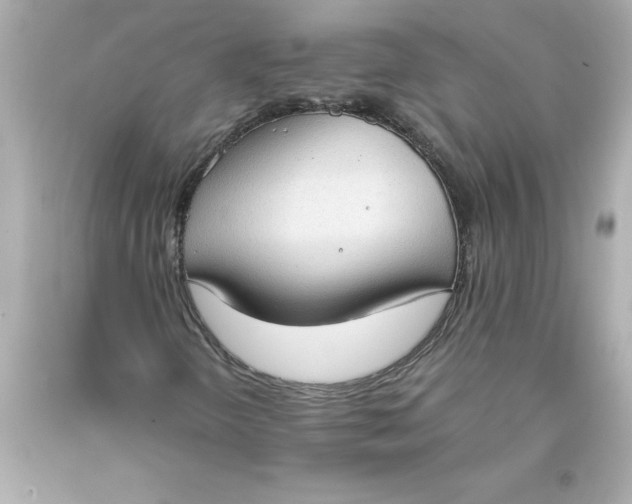 X0000093381298200711011241