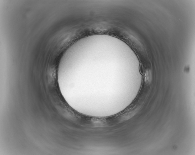 X0000093381299200711011241